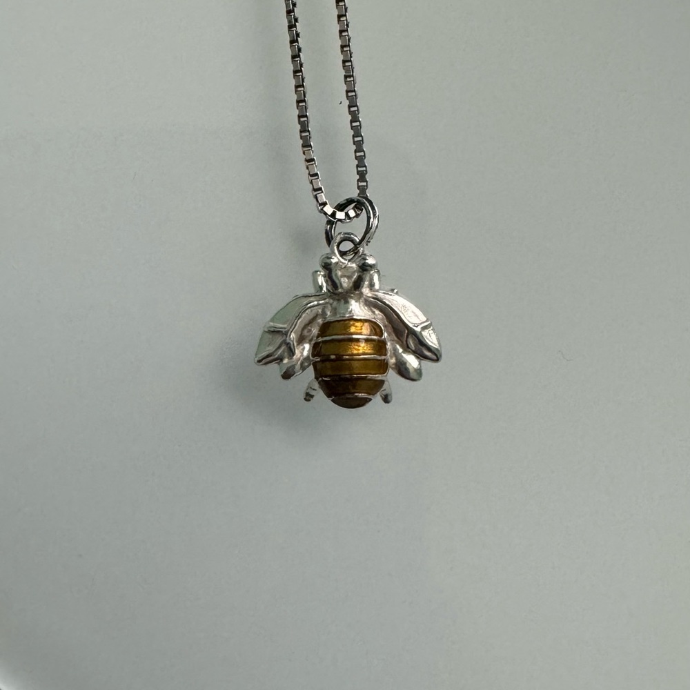 Silver chain and charm